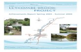 The Letcombe Brook Project - Wantage · The Letcombe Brook Project: Achievements report. Spring 2003 – Summer 2009 3 Introduction Letcombe Brook chalk stream The.Letcombe.Brook.is.a.chalk.stream.that