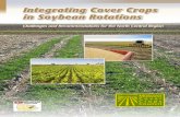 Integrating Cover Crops in Soybean Rotations · 2016. 3. 18. · covers into his system. For example, he developed equipment that successfully broadcasts cover crop seed into standing