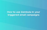 How to use Zembula in your triggered email campaigns Email … · New product Unleash new products the way they deserve. Conﬁdential Click to interact and see it live. Remarketing
