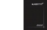 Blackstar Group SE L-2134 Luxembourg Interim Report 2011 · 5 Other listed comprises investments in Shoprite Holdings Limited and Wallberg Blackstar African Fund amongst others. 6