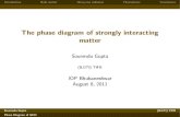 The phase diagram of strongly interacting mattertheory.tifr.res.in/~sgupta//talks/11iopb.pdf · Introduction Bulk matter Heavy-ion collisions Fluctuations Conclusions The Discovery