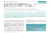 Acetylcholine Attenuates Hypoxia/Reoxygenation Injury by ...download.xuebalib.com/3ec6v4GRgCJ6.pdfAcetylcholine Attenuates Hypoxia/Reoxygenation Injury by Inducing Mitophagy Through