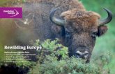 Rewilding Europe · Bringing back the variety of life for us all to enjoy. Exploring new ways for people to earn a fair living from the wild. Colofon Rewilding Europe originates from