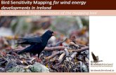 Bird Sensitivity Mapping for Wind Energy Developments in ... · Bord Gais Bord na Mona Coillte Dept. Communications, Energy & Natural Resources ... – IEA Task 34, WREN, webinar