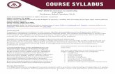 MGT 6345-01 Seminar in Leadership Fall, 2020 Professor ... · statements, disclaimers, policies, and procedures outlined within this syllabus and elsewhere in the WTClass environment.