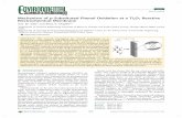 Mechanism of p Substituted Phenol Oxidation at a Ti O ......REM technology, this study investigated the oxidation of phenolic compounds (i.e., p-nitrophenol, p-methoxyphenol, and p-benzoquinone)