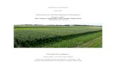 2018 Research Report from the · 2019. 2. 11. · 2018 Research Report from the Saskatchewan Oat Development Commission Project Title: Oat Vigour Improves with Larger Seed S ize (ADOPT#