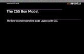 CSS Box Model - School of Computingdfitzpat/content/CA106/Net...Lorem ipsum dolor sit amet, consectetur adipiscing elit. Nulla tincidunt rhoncus mauris, at tempor neque iaculis a.