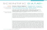 OPEN Data Descriptor: Daphnia magna transcriptome by ...mpfrende/PDFs/Orsini_et_al_SciData...Data Descriptor: Daphnia magna transcriptome by RNA-Seq across 12 environmental stressors