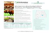 Montgomery County Agriculture, Forestry, and Related ... · Finance and Insurance Agriculture, Forestry, and Related Industries Total Production In 2010, $106.9 million was generated