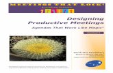 Designing - northstarfacilitators.com€¦ · complete this workshop and handout exercises thinking you CAN create this kind of meeting result. What will we cover? In this workshop,