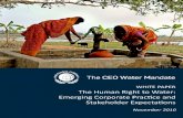The - Advancing Water Resilience€¦ · the human right to water/sanitation can contribute by including the respect and realization of the right to water and sanitation in their