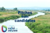 Candidates from parties for the water board Vallei and Veluwe · CDA water board Vallei en Veluwe o Safety first! o Working together with all the different stakeholders for a sustainable