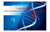 L'âge génomique? Une introduction à la génomique humainegenetiquefondamentale.e.g.f.unblog.fr/files/2016/12/genome-medecine-… · Mutation: -Variations dans la séquence d'ADN