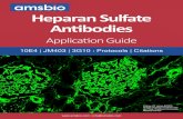Heparan Sulfate AntibodiesClones F58-10E4 and JM403 recognize common epitopes on native heparan sulfate (HS), which can be found on both basement membrane and cell-associated HS species.