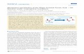 Mechanism and Kinetics of the Water-Assisted Formic Acid ...sgpwe.izt.uam.mx/pages/cbi/annik/revistas/2011.pdfarticle Δe Δg), ...