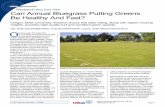 Research You Can Use Can Annual Bluegrass Putting Greens ...The greatest increases in BRD were observed with mowing and rolling daily (+17.5 inches), followed by rolling daily and