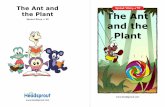 The Ant and Sprout Story • 35 the Plant The Ant · 2020. 5. 25. · The Ant and the Plant Sprout Story 35. 9 10 Fling can swing. Fling can hold the plant, and Fling can hold the