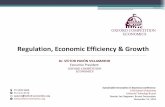 Regulation, Economic Efficiency & Growth€¦ · Principles of Economic Regulation 14 By economic regulation we refer to policy instruments that affect prices, entry and the industrial