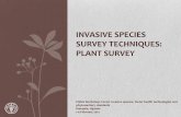 INVASIVE SPECIES SURVEY TECHNIQUES: PLANT SURVEY€¦ · Invasive plant species management Four phases: 1. Planning – identify land management goals (e.g. resource protection or
