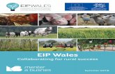 EIP Wales · livestock, to an agreed level for each country. There is also likely to be restrictions on usage in livestock of those antibiotics that are critically important for human