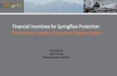 Financial Incentives for Springflow Protection · EAA Act & Directives ORIGINAL STATUTE - 1993 •Limit permitted withdrawals 450,000 acre-feet initially thru 12/31/07 400,000 acre-feet