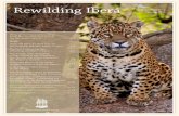 Rewilding Iberá - Proyecto Iberá · Rewilding Iberá Newsletter Nº 2 January 2016 this project through a formal agreement with the province of Corrientes. The third agreement was