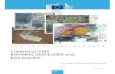 Copernicus -EMS MAPPING GUIDELINES and best practicepublications.jrc.ec.europa.eu/repository/bitstream/...the Copernicus EMS mapping services, the validation service and following