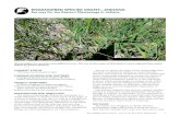 Surveys for the Eastern Massasauga in Indiana...first mapped in a geographic information system (GIS) based on boundaries of apparently suitable habitats and barriers, such as roads.