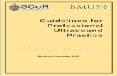 Guidelines for Professional Ultrasound Practice · 2019. 12. 17. · SCoR/BMUS Guidelines for Professional Ultrasound Practice. Revision 4, December 2019 6 Foreword to the December