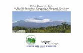 Pico Bonito, Inc. A Multi-faceted Forestry Based Carbon ... · Page 2 of 18 NON-DISCLOSURE STATEMENT This Non-Disclosure Statement (“Statement”) is provided by Ecologic Development