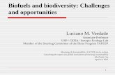 Biofuels and biodiversity: Challenges and opportunitiesBiofuels and biodiversity: Challenges and opportunities Luciano M. Verdade Associate Professor USP / CENA / Isotopic Ecology