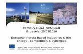 ELOBIO FINAL SEMINAR Brussels, 25/03/2010 European Forest ... · established a template for the presentation of nREAPs. Main elements:-short overview of national renewable energygy