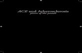 ACE and Atherosclerosis - Erasmus University Rotterdam Tabatabaei.pdf · 2016. 3. 10. · ACE and Atherosclerosis pieces of the puzzle ACE en atherosclerose stukjes van de puzzel