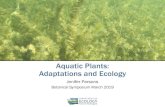 Aquatic Plants: Adaptations and Ecology · 2019. 3. 8. · Aquatic plants provide – Food – Habitat 14 Borrowman Utricularia intermedia and Potamogeton amplifolius. Aquatic Plants