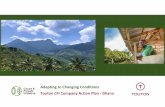 Adapting to Changing Conditions Touton CFI Company Action Plan - Ghana · 2019. 3. 18. · 03/2019 Touton CFI Company Action Plan - Ghana Page 3 Thirty-three companies1, accounting