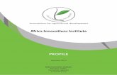 Africa Innovations Institute...3 Preface T his booklet presents Africa Innovations Institute. It gives you an overview of the institute and is intended for readers who would like to