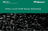 Why Coal Will Keep Burning - Boston Consulting Group · 6 Why Coal Will Keep Burning sible. (The calculation of potential capacity depends on factors including the amount of solar