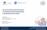The Social and Non-Social Determinants of Comparison ......The Social and Non-Social Determinants of Comparison-Oriented Coping Efficacy in Occupational Stress Contexts | 2 AGENDA