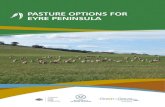 PASTURE OPTIONS FOR EYRE PENINSULA - Landscape ......The Eyre Peninsula Natural Resources Management Board and the Government of South Australia, their employees and their servants