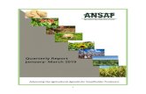 Contentsansaf.or.tz/wp-content/uploads/2019/06/First...PASAAR-TZ Policy Advocacy to Strengthen and Accelerate Agricultural Reforms in Tanzania SAIRLA Sustainable Agricultural Intensification