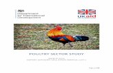 POULTRY SE TOR STUDY - bdsknowledge.org Poultry Sector Study 180419.pdfApr 19, 2018  · Poultry is increasing in importance globally, including in Sub-Saharan Africa and South Asia.
