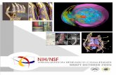 NIH-NSF Visualizationdynamics and biomedical imaging are generating new knowledge that crosses traditional disciplinary boundaries. And visualization provides industry with a competitive
