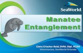 Manatee Entanglement · debris by Florida manatees, 1993 to 2012. Endang Species Res 32: 415-427. • Adimey NM, et al. 2014. Fishery gear interactions from stranded bottlenose dolphins,
