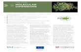 CASE STUDY: MOLECULAR DIMENSIONS · 2017. 2. 7. · CASE STUDY: MOLECULAR DIMENSIONS IfM ECS worked with Molecular Dimensions, a specialist in protein crystallography, to: increase