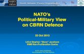 Political-Military View on CBRN Defence...(SACT) Allied Command Operations (ACO/SHAPE) NCDP WMDC MCMedSB MCJSB NSA Detection Identification ... Monitor Global R&D Trends Threat Assessments