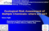 Ecological Risk Assessment of Multiple Chemicals: where ... · fate patterns of all chemicals applied in the hydrological ... Relationship between toxicity on algae (Log 1/EC50) and