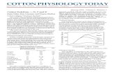 Cotton Physiology Today · 2011. 9. 29. · This issue of Cotton Physiology Today will cover ni trogen (N), phosphorus (P) and potassium (K) uptake and utilization. These two topics