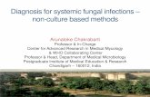 Diagnosis for systemic fungal infections non -culture based …fisftrust.org/upload/ebooks/ppt9.pdf · 2016. 4. 28. · Diagnosis for systemic fungal infections ± non -culture based