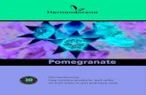 Pomegranate - Hernandorena€¦ · Pomegranate 1. Meeting the needs of the agricultural sector, following market trends. 2. Expanding the company’s production from the study, development